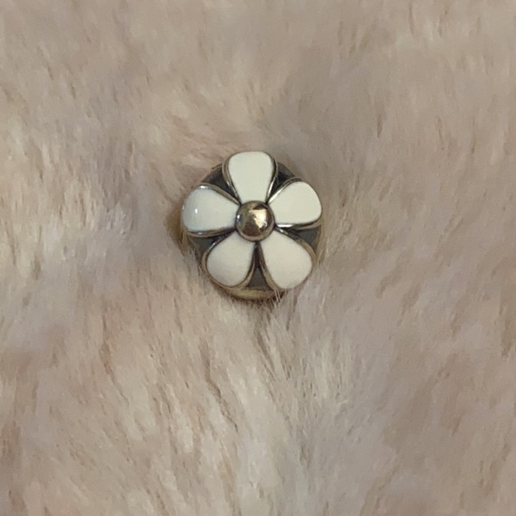 Pandora Charm - Picture 1 of 4